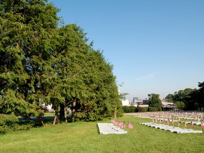 A grove of pine trees at Brooklyn's Green-Wood Cemetery adjacent to the plot of land where the markers for 1000 Civil War veterans have been arranged.