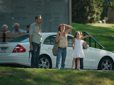 Birdwatchers at Brooklyn's Green-Wood Cemetery watch the wild Quaker Parrots living there