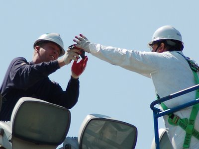 Two New York City workers carefully handle a rescued wild baby Quaker Parrot in Throggs Neck
