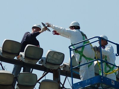 One worker carefully hands a recovered baby Monk Parakeet to another in Throggs Neck, the Bronx, June 7, 2007